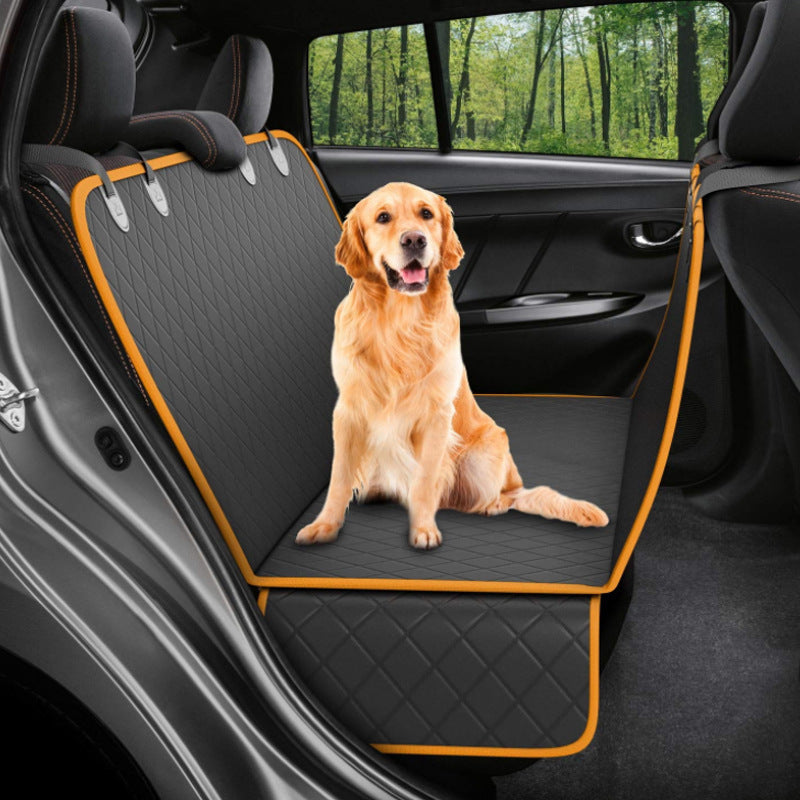 Pet Accessories